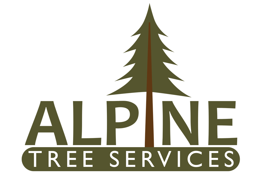 Alpine tree & shrub care